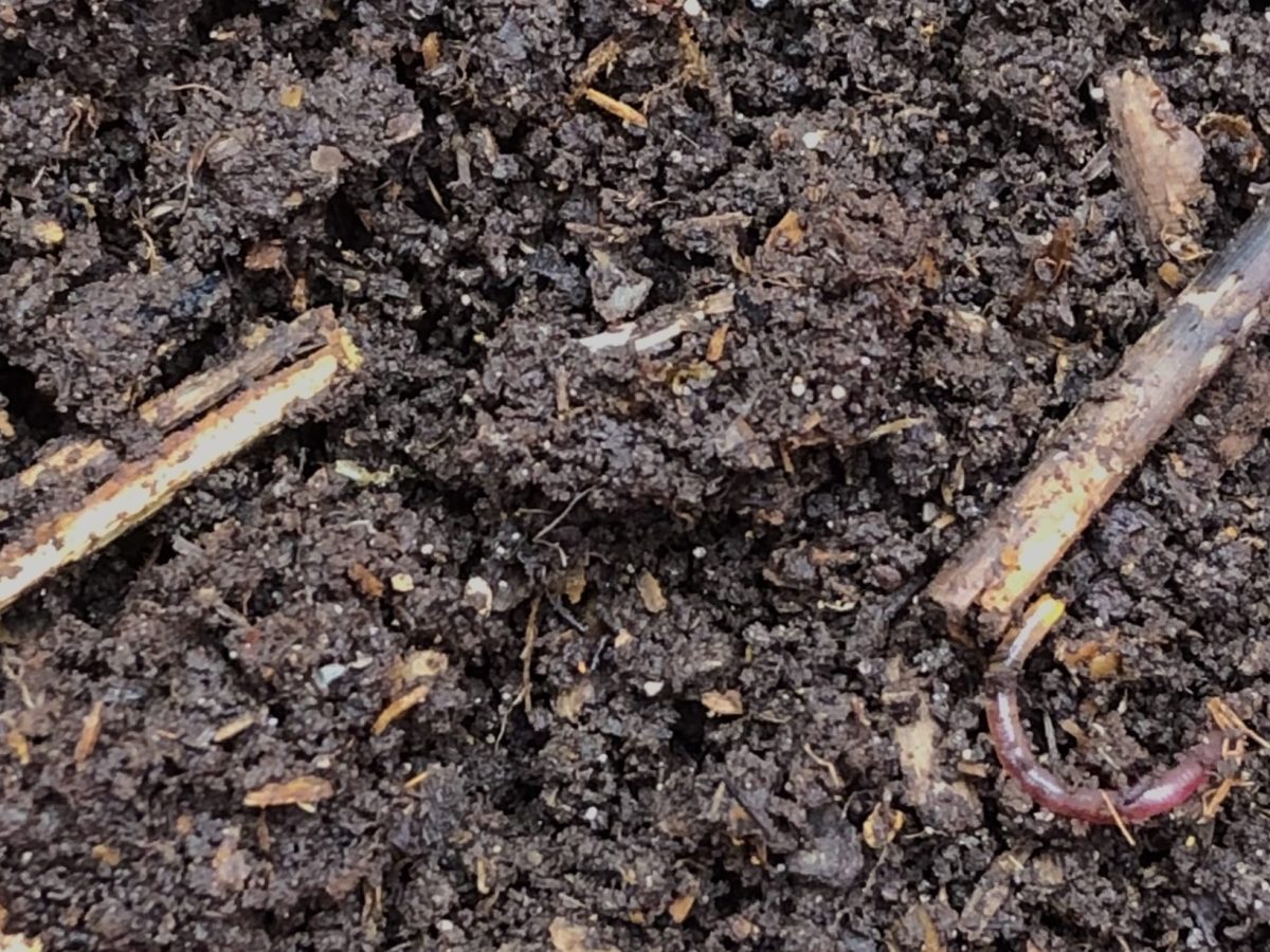 The Art of&nbsp;Composting